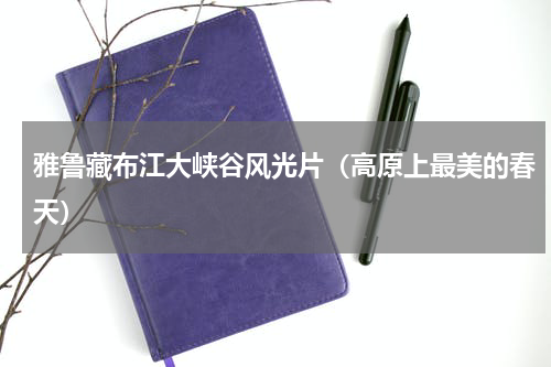 雅鲁藏布江大峡谷风光片（高原上最美的春天）