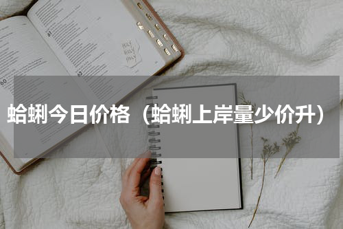 蛤蜊今日价格（蛤蜊上岸量少价升）