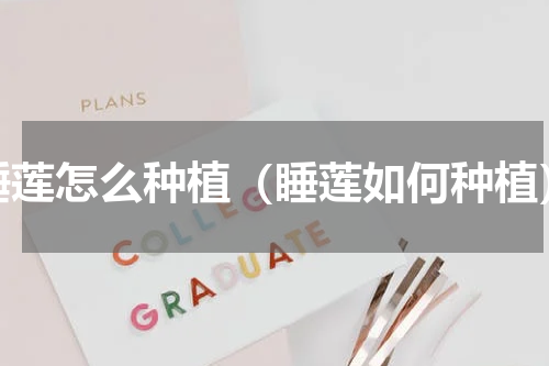 睡莲怎么种植（睡莲如何种植）