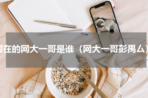 现在的网大一哥是谁（网大一哥彭禺厶）