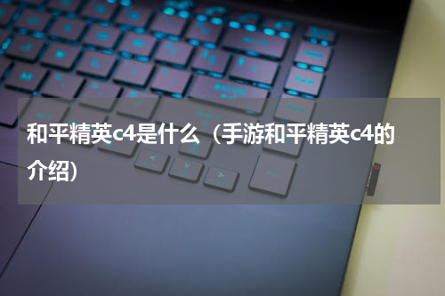 和平精英c4是什么（手游和平精英c4的介绍）