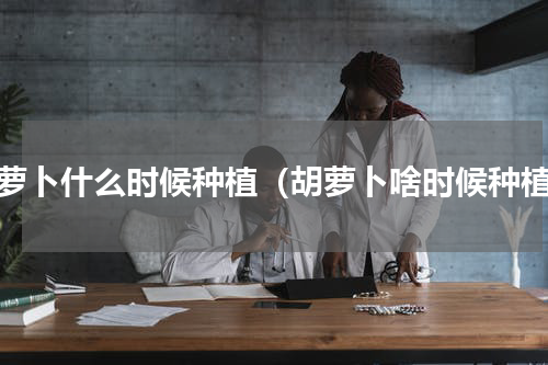 胡萝卜什么时候种植（胡萝卜啥时候种植）