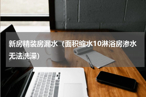 新房精装房漏水（面积缩水10淋浴房渗水无法洗澡）