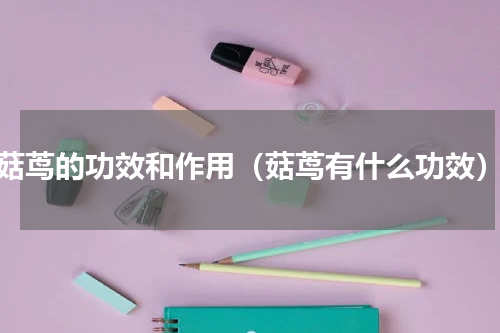 菇茑的功效和作用（菇茑有什么功效）