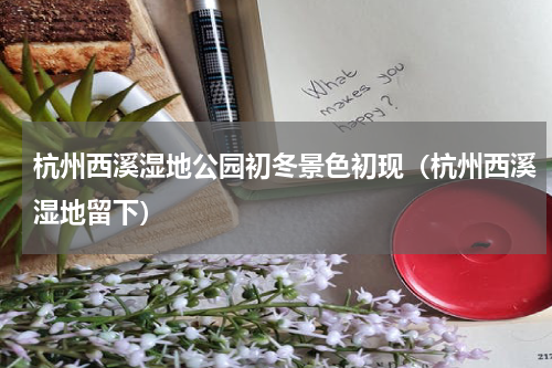 杭州西溪湿地公园初冬景色初现（杭州西溪湿地留下）