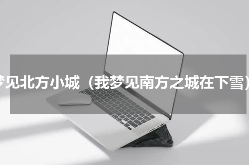 梦见北方小城（我梦见南方之城在下雪）