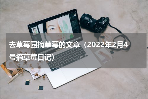去草莓园摘草莓的文章（2022年2月4号摘草莓日记）
