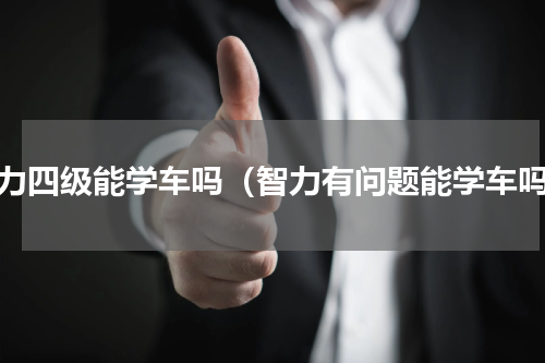 智力四级能学车吗（智力有问题能学车吗）