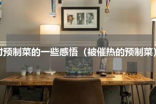 对预制菜的一些感悟（被催热的预制菜）