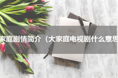 大家庭剧情简介（大家庭电视剧什么意思）