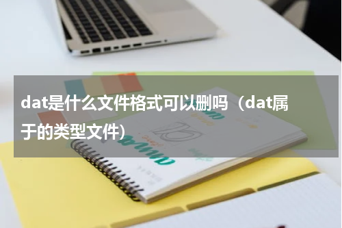dat是什么文件格式可以删吗（dat属于的类型文件）
