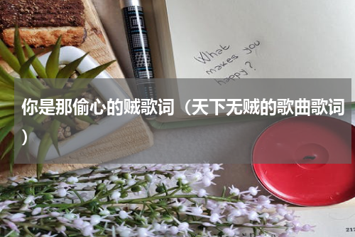 你是那偷心的贼歌词（天下无贼的歌曲歌词）