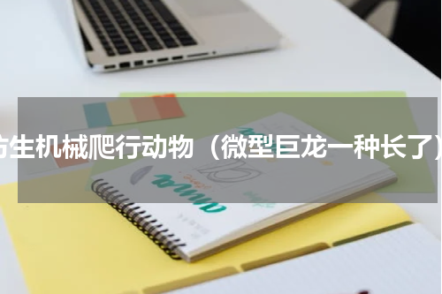 仿生机械爬行动物（微型巨龙一种长了）