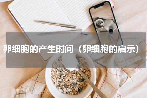 卵细胞的产生时间（卵细胞的启示）