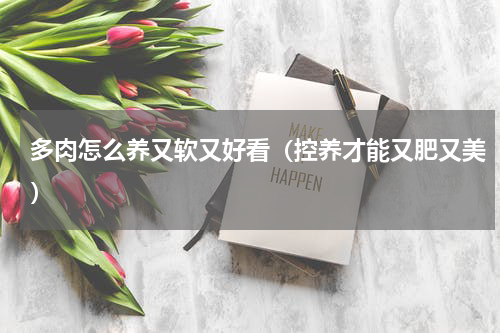 多肉怎么养又软又好看（控养才能又肥又美）