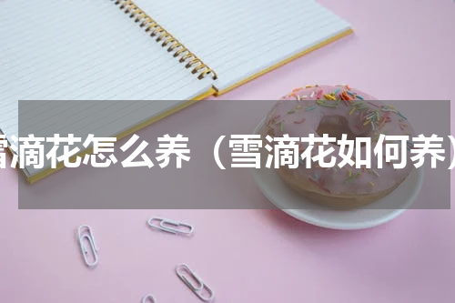 雪滴花怎么养（雪滴花如何养）