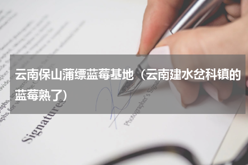 云南保山蒲缥蓝莓基地（云南建水岔科镇的蓝莓熟了）