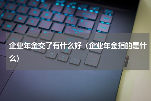 企业年金交了有什么好（企业年金指的是什么）