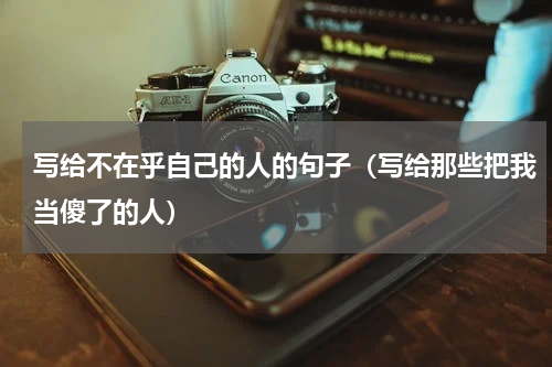 写给不在乎自己的人的句子（写给那些把我当傻了的人）