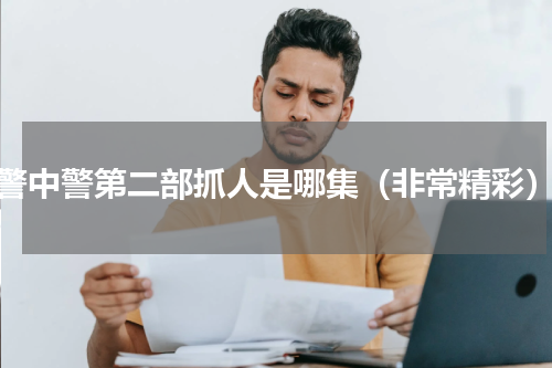 警中警第二部抓人是哪集（非常精彩）