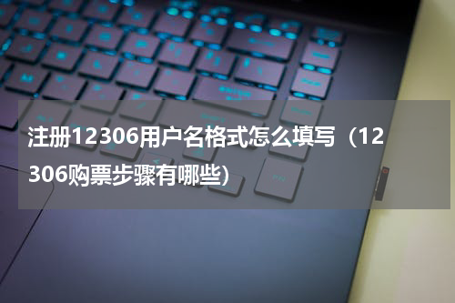 注册12306用户名格式怎么填写（12306购票步骤有哪些）
