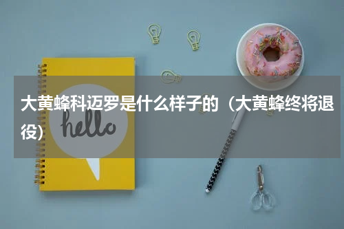 大黄蜂科迈罗是什么样子的（大黄蜂终将退役）