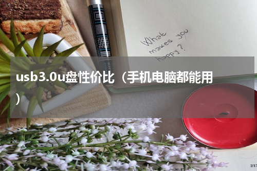 usb3.0u盘性价比（手机电脑都能用）