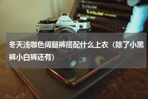 冬天浅咖色阔腿裤搭配什么上衣（除了小黑裤小白裤还有）