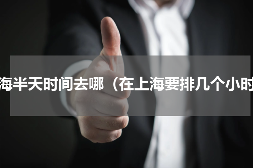 上海半天时间去哪（在上海要排几个小时）