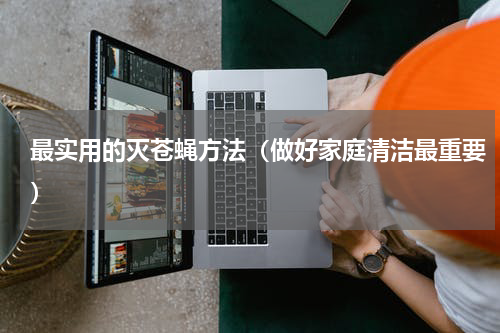 最实用的灭苍蝇方法（做好家庭清洁最重要）
