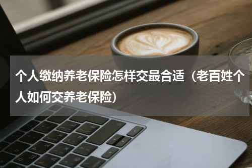 个人缴纳养老保险怎样交最合适（老百姓个人如何交养老保险）