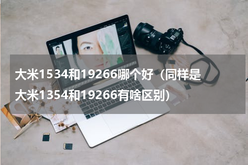 大米1534和19266哪个好（同样是大米1354和19266有啥区别）