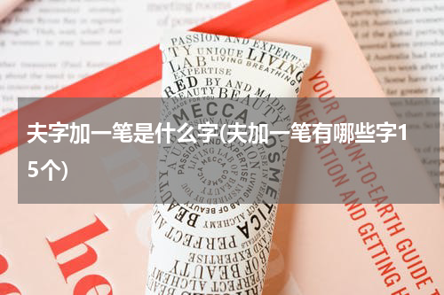 夫字加一笔是什么字(夫加一笔有哪些字15个)