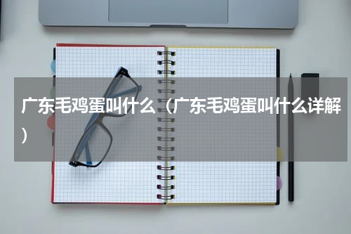 广东毛鸡蛋叫什么（广东毛鸡蛋叫什么详解）