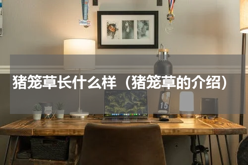 猪笼草长什么样（猪笼草的介绍）