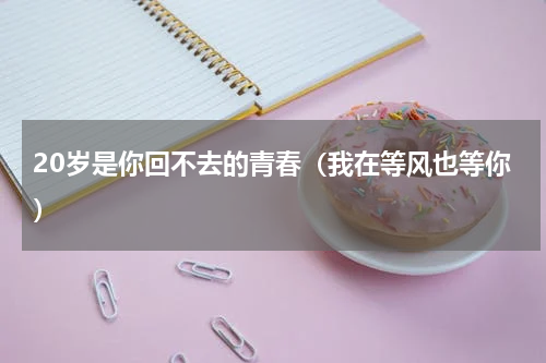 20岁是你回不去的青春（我在等风也等你）