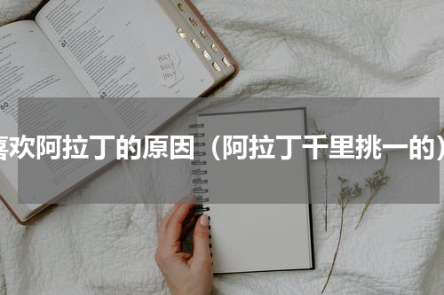 喜欢阿拉丁的原因（阿拉丁千里挑一的）