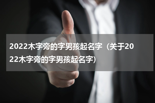 2022木字旁的字男孩起名字（关于2022木字旁的字男孩起名字）