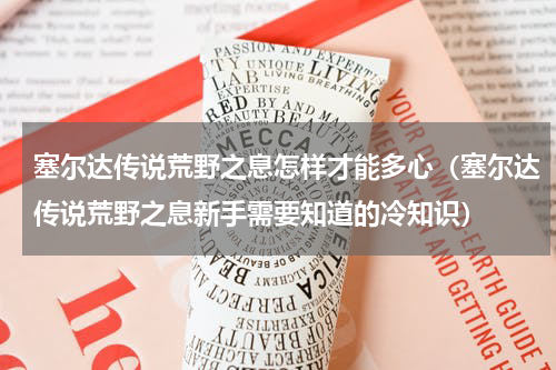 塞尔达传说荒野之息怎样才能多心（塞尔达传说荒野之息新手需要知道的冷知识）