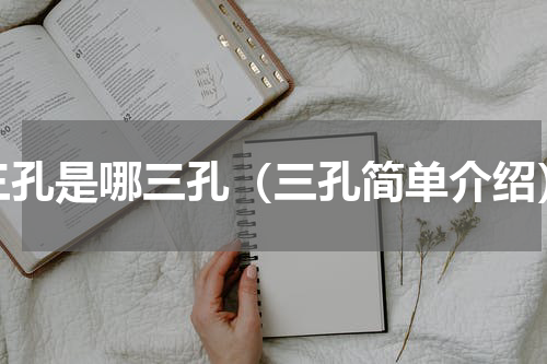 三孔是哪三孔（三孔简单介绍）
