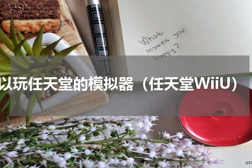 可以玩任天堂的模拟器（任天堂WiiU）