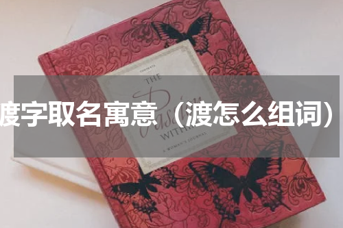 渡字取名寓意（渡怎么组词）