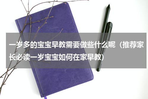 一岁多的宝宝早教需要做些什么呢（推荐家长必读一岁宝宝如何在家早教）