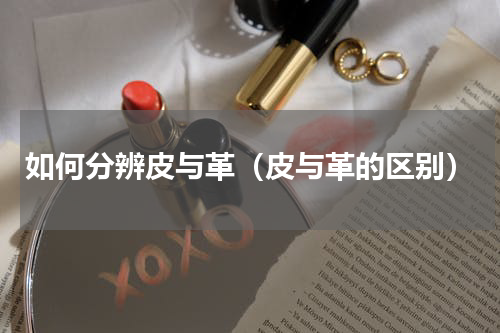 如何分辨皮与革（皮与革的区别）