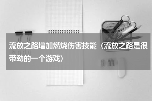 流放之路增加燃烧伤害技能（流放之路是很带劲的一个游戏）
