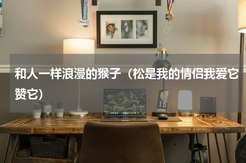 和人一样浪漫的猴子（松是我的情侣我爱它赞它）