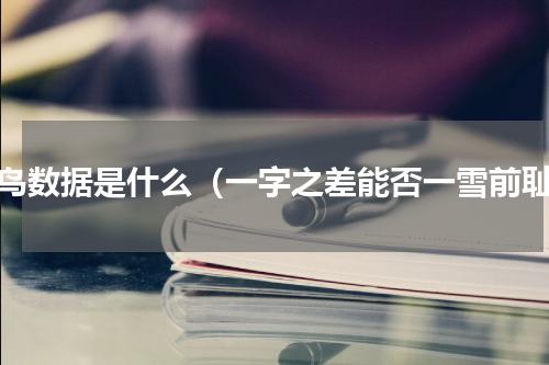 丹鸟数据是什么（一字之差能否一雪前耻）