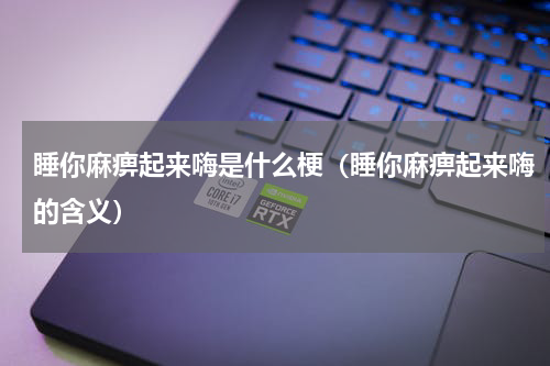 睡你麻痹起来嗨是什么梗（睡你麻痹起来嗨的含义）