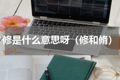 修是什么意思呀（修和脩）