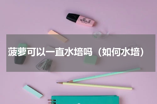 菠萝可以一直水培吗（如何水培）